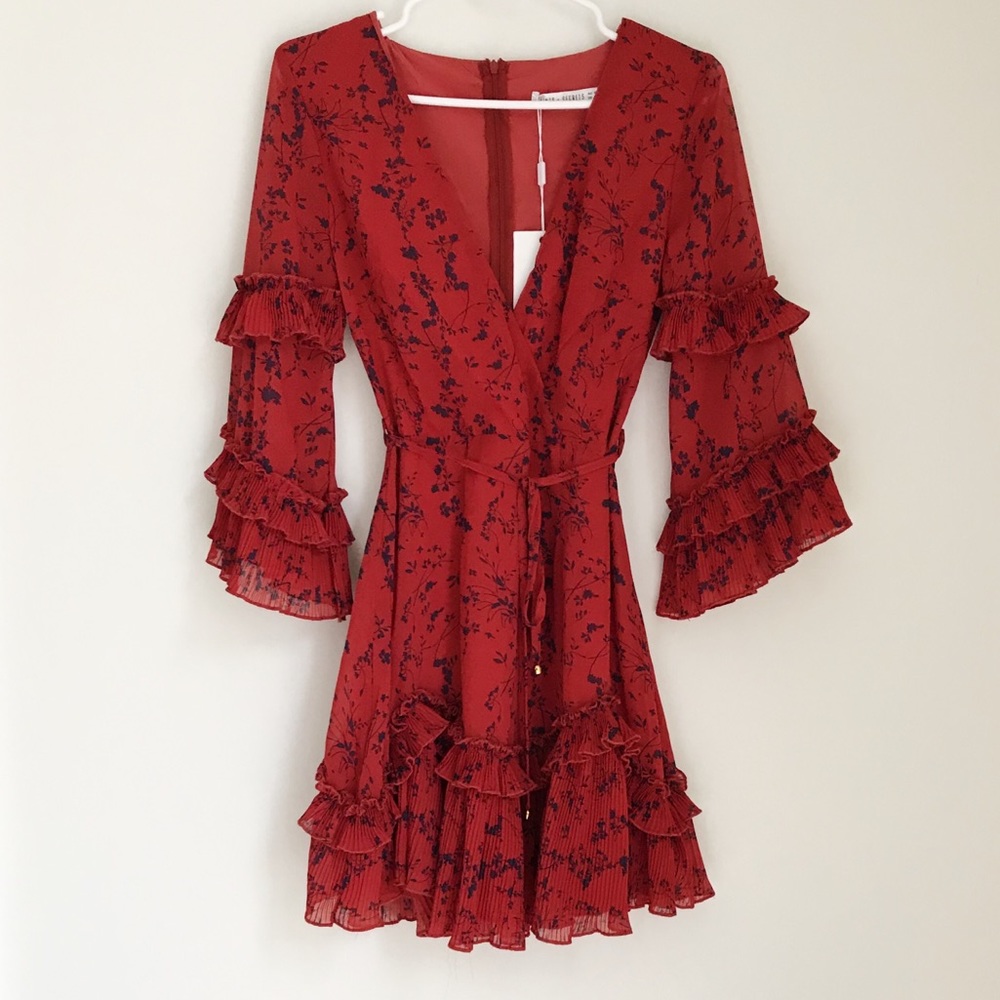 Red Dress - Picture 5 of 7
